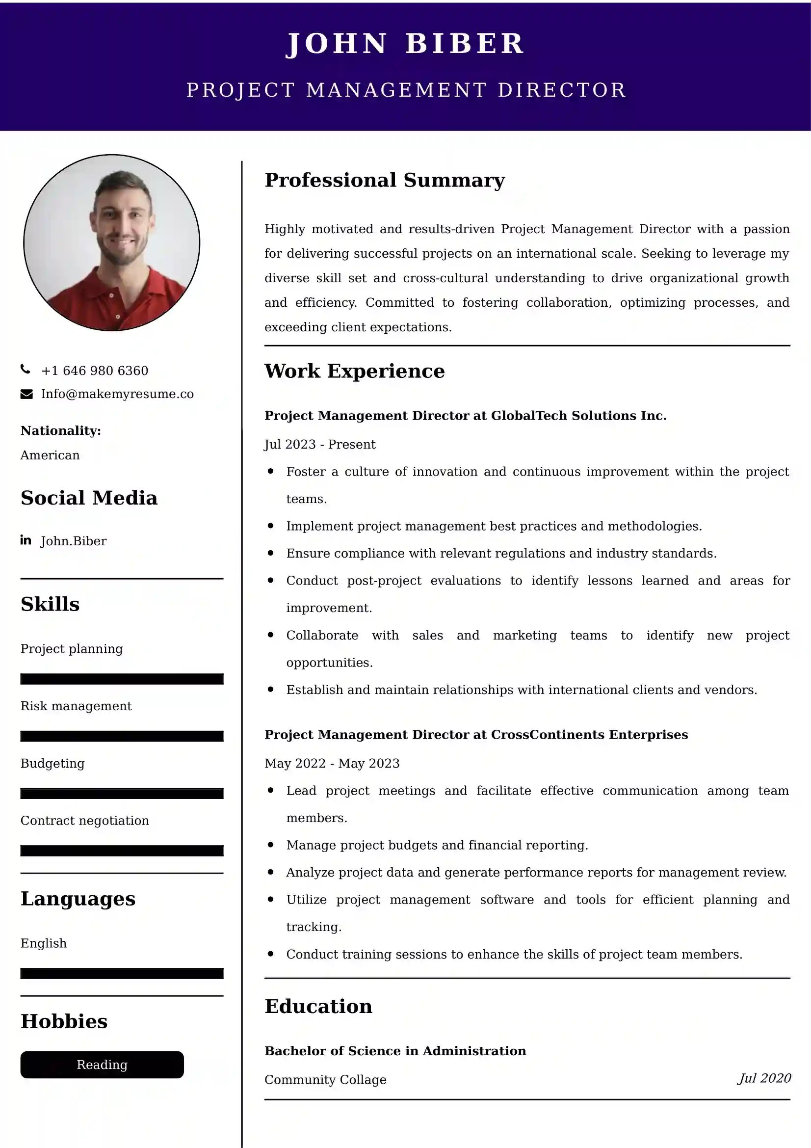 Project Management Director Resume Examples India